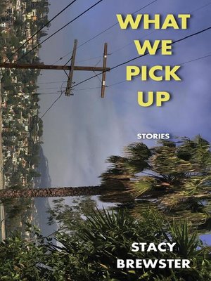 cover image of What We Pick Up